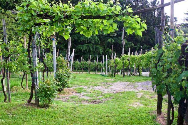 Le Perine 6 Hotel Valdobbiadene Kültér fotó